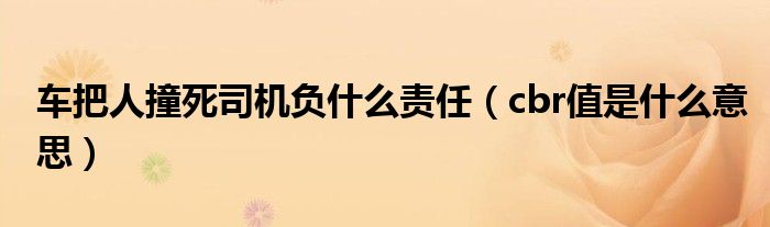 车把人撞死司机负什么责任(cbr值是什么意思)