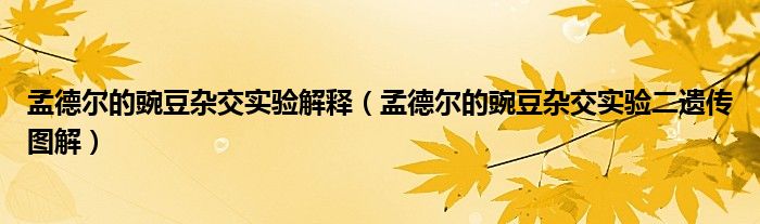 孟德尔的豌豆杂交实验解释(孟德尔的豌豆杂交实验二遗传图解)