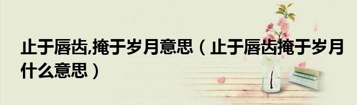 止于唇齿,掩于岁月意思(止于唇齿掩于岁月什么意思)