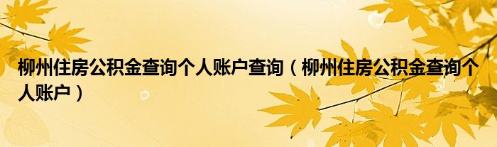 柳州住房公积金查询个人账户查询(柳州住房公积金查询个人账户)