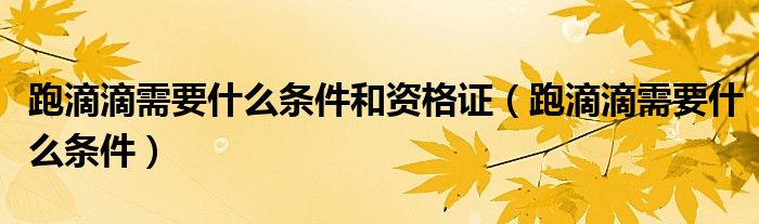 跑滴滴需要什么条件和资格证(跑滴滴需要什么条件)