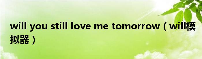 will you still love me tomorrow(will模拟器)