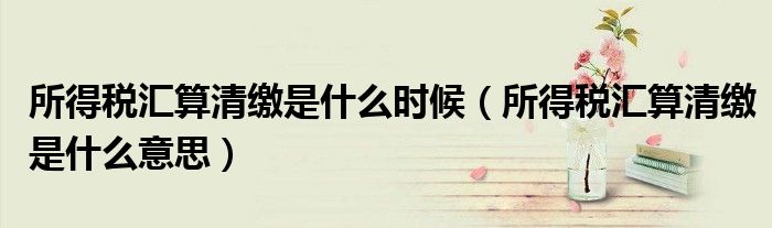 所得税汇算清缴是什么时候(所得税汇算清缴是什么意思)