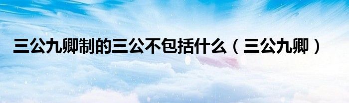 三公九卿制的三公不包括什么(三公九卿)