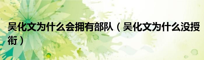 吴化文为什么会拥有部队(吴化文为什么没授衔)