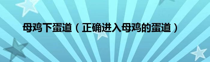 母鸡下蛋道(正确进入母鸡的蛋道)