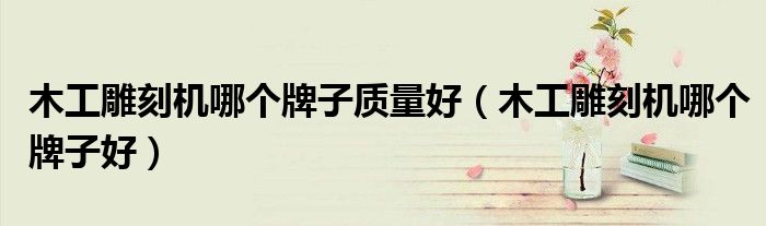 木工雕刻机哪个牌子质量好(木工雕刻机哪个牌子好)