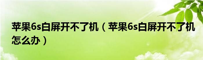 苹果6s白屏开不了机(苹果6s白屏开不了机怎么办)
