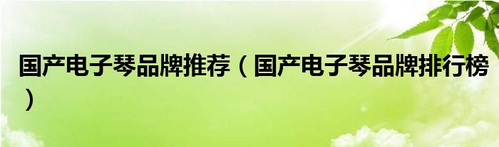 国产电子琴品牌推荐（国产电子琴品牌排行榜）