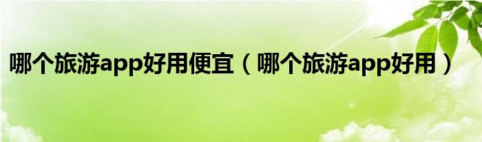 哪个旅游app好用便宜（哪个旅游app好用）