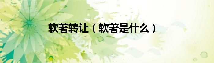 软著转让（软著是什么）