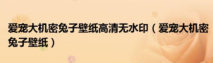 爱宠大机密兔子壁纸高清无水印(爱宠大机密兔子壁纸)