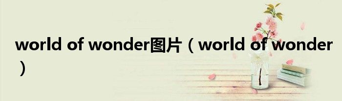 world of wonder图片（world of wonder）