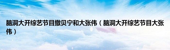 脑洞大开综艺节目撒贝宁和大张伟(脑洞大开综艺节目大张伟)