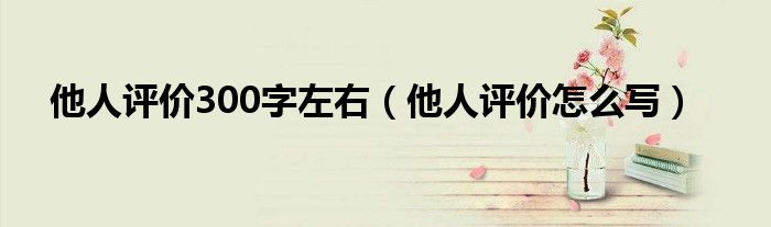 他人评价300字左右(他人评价怎么写)