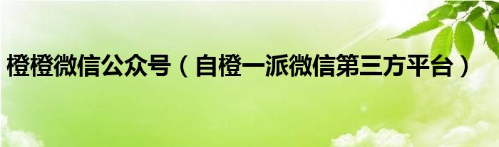 橙橙微信公众号（自橙一派微信第三方平台）