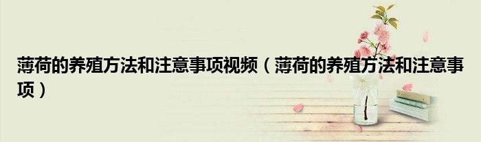 薄荷的养殖方法和注意事项视频(薄荷的养殖方法和注意事项)