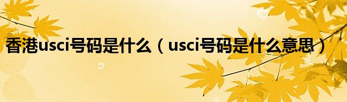 香港usci号码是什么(usci号码是什么意思)