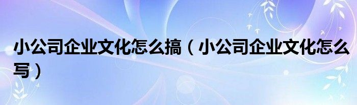 小公司企业文化怎么搞（小公司企业文化怎么写）