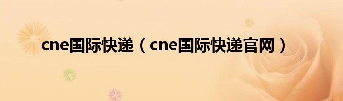 cne国际快递(cne国际快递官网)