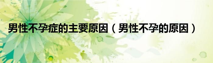 男性不孕症的主要原因(男性不孕的原因)