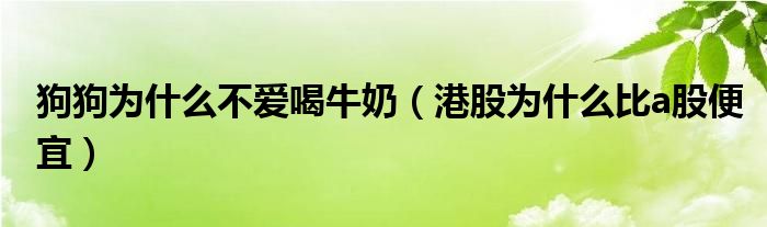 狗狗为什么不爱喝牛奶(港股为什么比a股便宜)