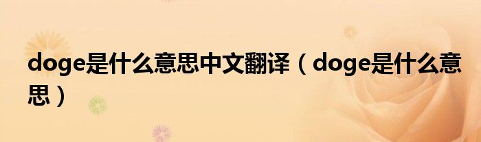 doge是什么意思中文翻译(doge是什么意思)