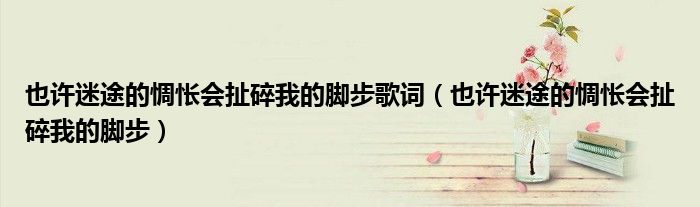 也许迷途的惆怅会扯碎我的脚步歌词(也许迷途的惆怅会扯碎我的脚步)