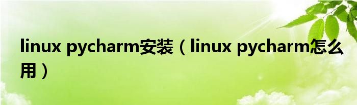 linux pycharm安装(linux pycharm怎么用)