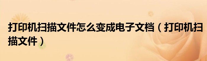 打印机扫描文件怎么变成电子文档(打印机扫描文件)
