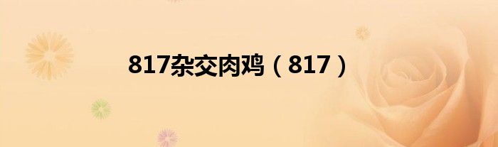 817杂交肉鸡(817)