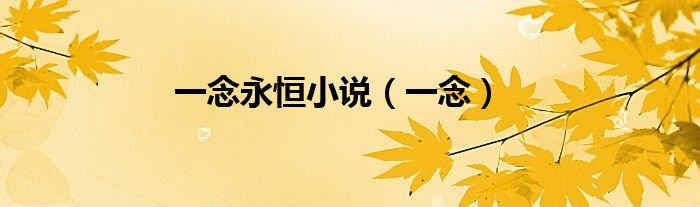 一念永恒小说（一念）