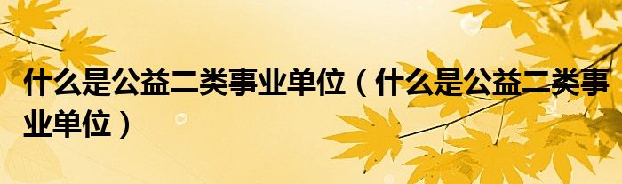 什么是公益二类事业单位(什么是公益二类事业单位)