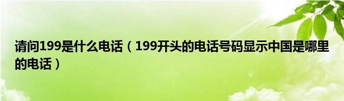 请问199是什么电话(199开头的电话号码显示中国是哪里的电话)
