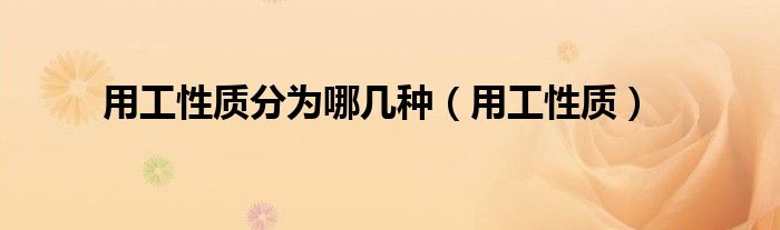 用工性质分为哪几种(用工性质)