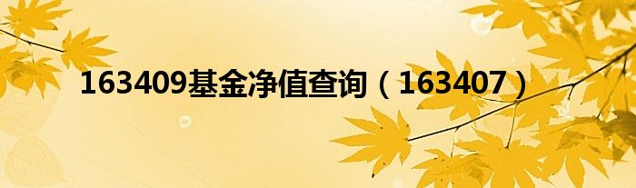 163409基金净值查询(163407)