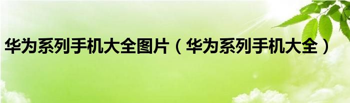 华为系列手机大全图片(华为系列手机大全)