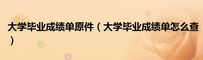 大学毕业成绩单原件(大学毕业成绩单怎么查)