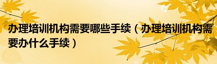 办理培训机构需要哪些手续(办理培训机构需要办什么手续)