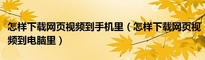 怎样下载网页视频到手机里(怎样下载网页视频到电脑里)