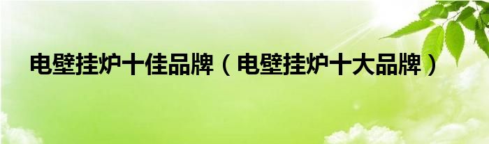 电壁挂炉十佳品牌（电壁挂炉十大品牌）