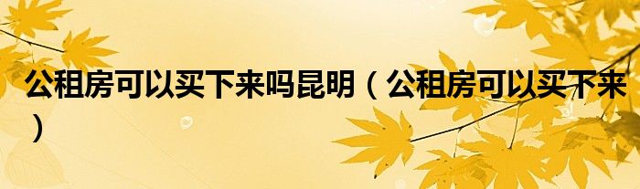 公租房可以买下来吗昆明(公租房可以买下来)