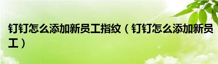钉钉怎么添加新员工指纹(钉钉怎么添加新员工)