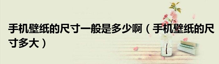 手机壁纸的尺寸一般是多少啊(手机壁纸的尺寸多大)