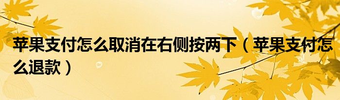 苹果支付怎么取消在右侧按两下(苹果支付怎么退款)