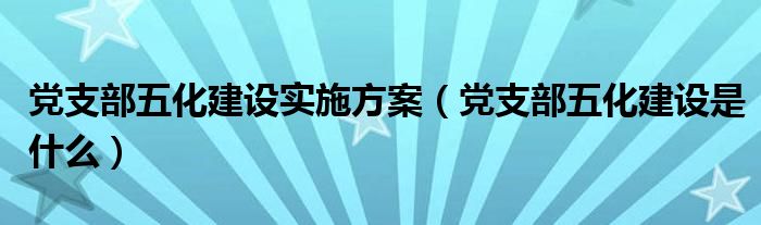 党支部五化建设实施方案(党支部五化建设是什么)