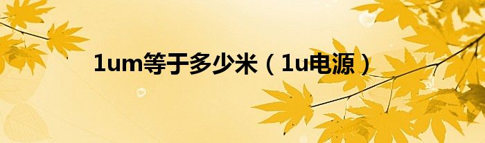 1um等于多少米(1u电源)