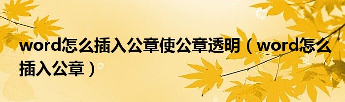 word怎么插入公章使公章透明(word怎么插入公章)