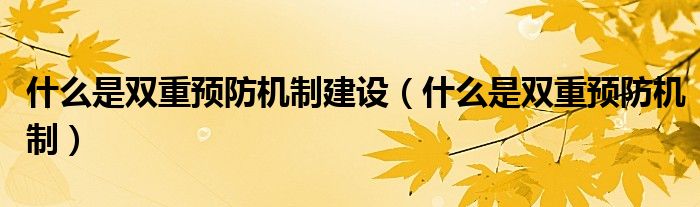 什么是双重预防机制建设(什么是双重预防机制)