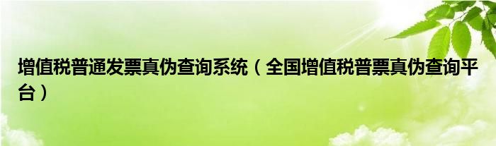 增值税普通发票真伪查询系统(全国增值税普票真伪查询平台)